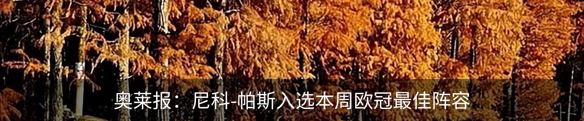 新闻动态