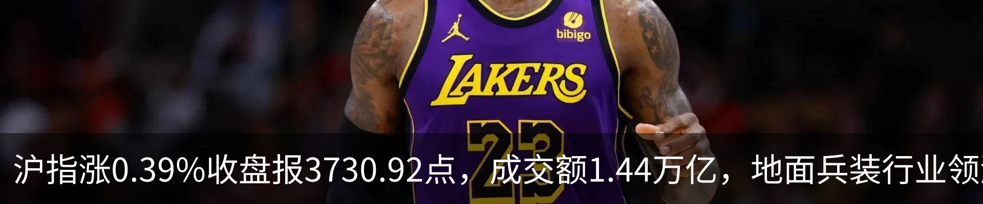 新闻动态