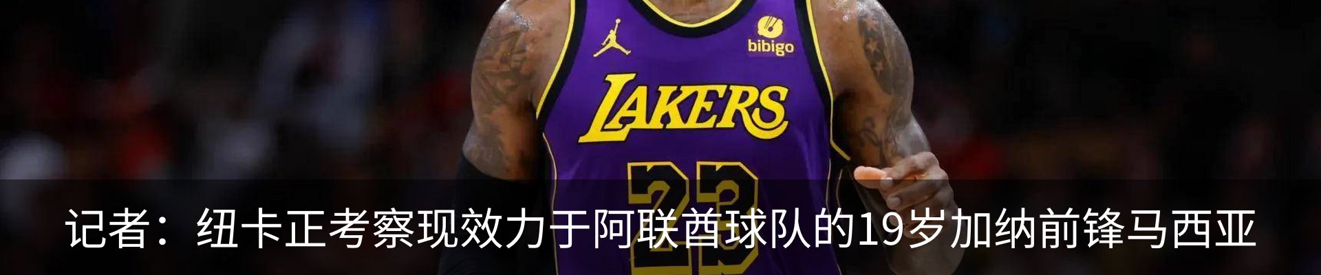 新闻动态