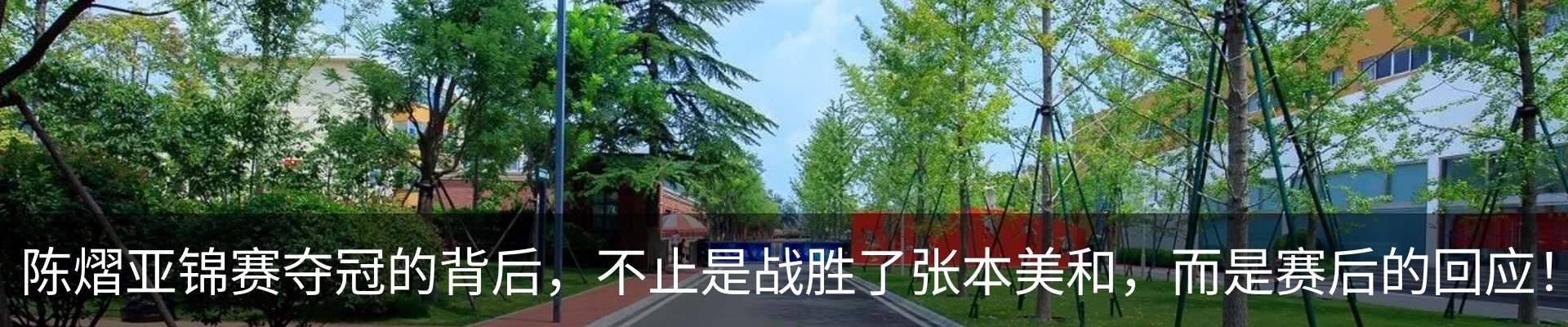 新闻动态