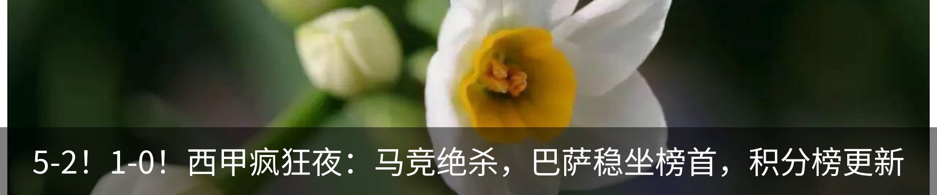 新闻动态